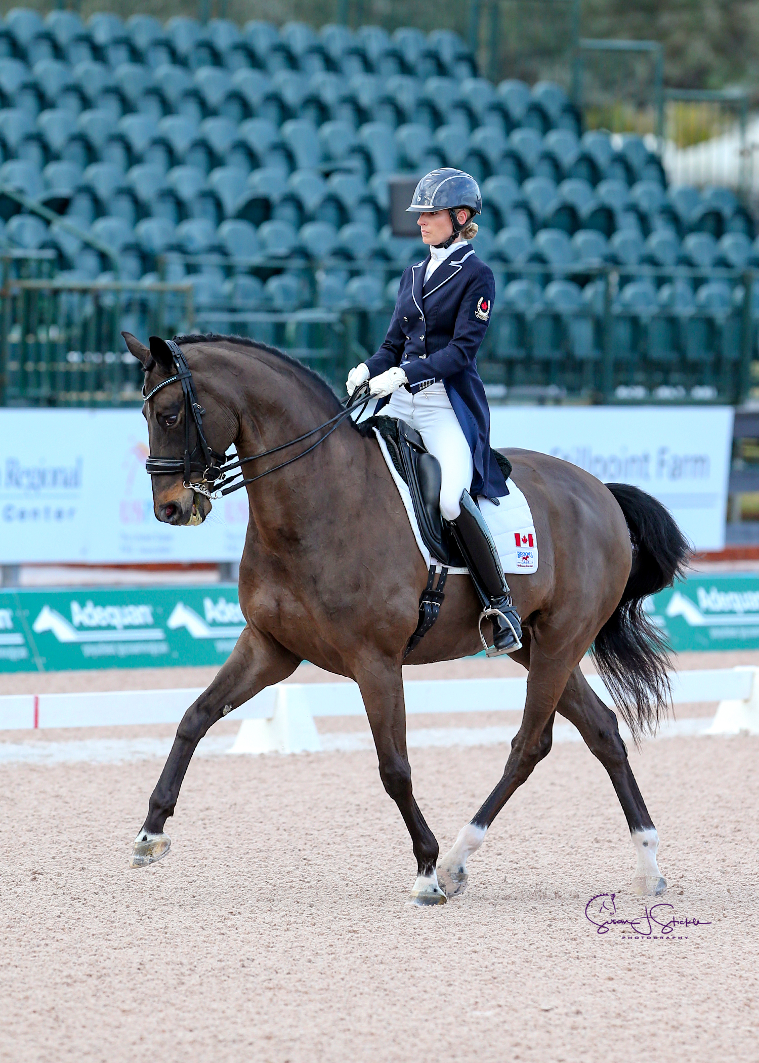 High Scores Reward Hard Work as Canadian Dressage Athletes Kick Off Winter Circuit in Wellington